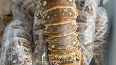 Pescadería la familia, foto 2